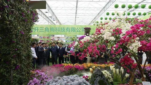 首屆廣西花卉苗木交易會 綻放桂林，惠及萬家