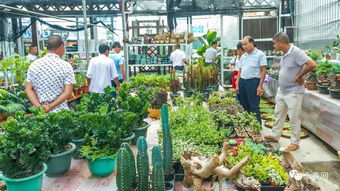 2018年永春縣新型職業農民花卉苗木專業培訓班圓滿落幕，助力花卉苗木零售新發展