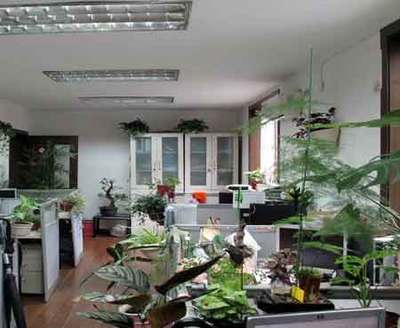 花卉苗木零售公司介紹